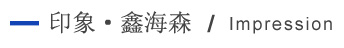 印象鑫海森 印象鑫海森